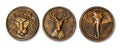 Antique Bronze Wild Animals 3D Relief Wall Art Panel (Set of 3 - Lion, Deer, Elephant) - Studio Detail